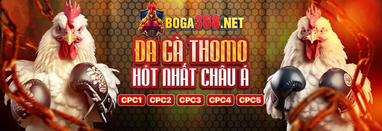 Sân vận động bóng đá với ánh đèn rực rỡ, biểu tượng cho cá cược thể thao đỉnh cao tại rr8686