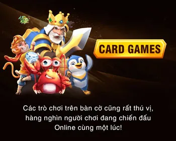 Quản lý vốn rr8686
